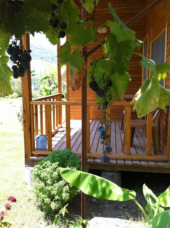Estelar Bungalow Cirali Room photo
