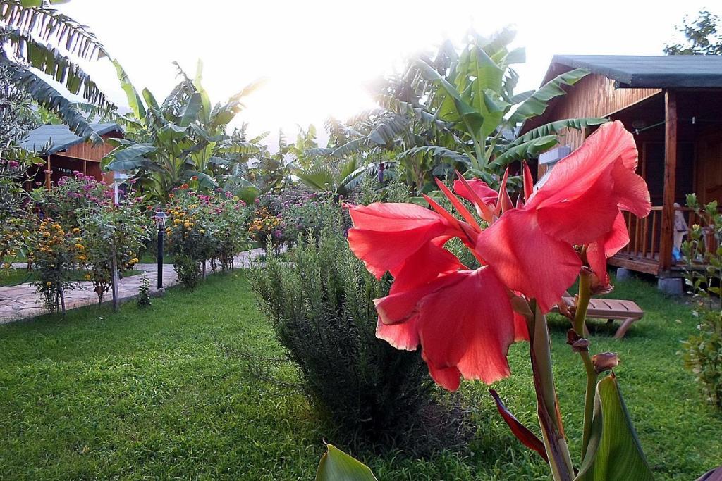 Estelar Bungalow Cirali Exterior photo